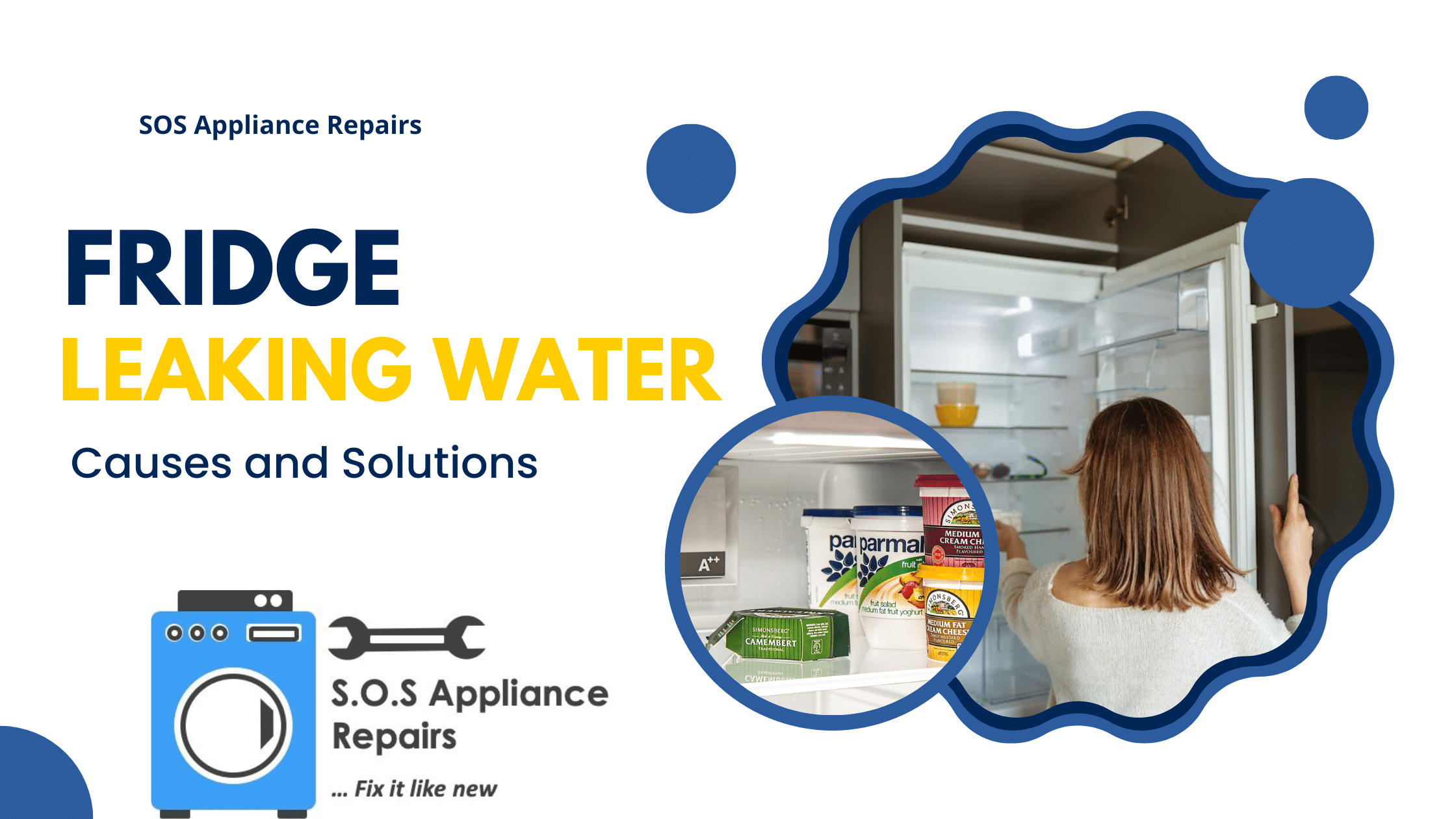 fridge leaking water issue