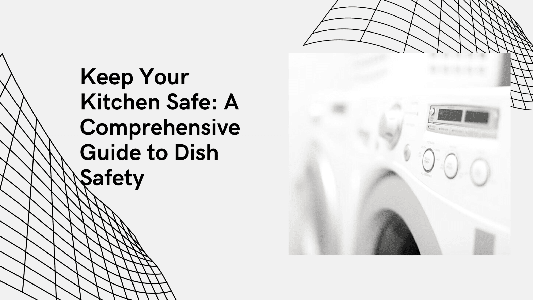 dish safety